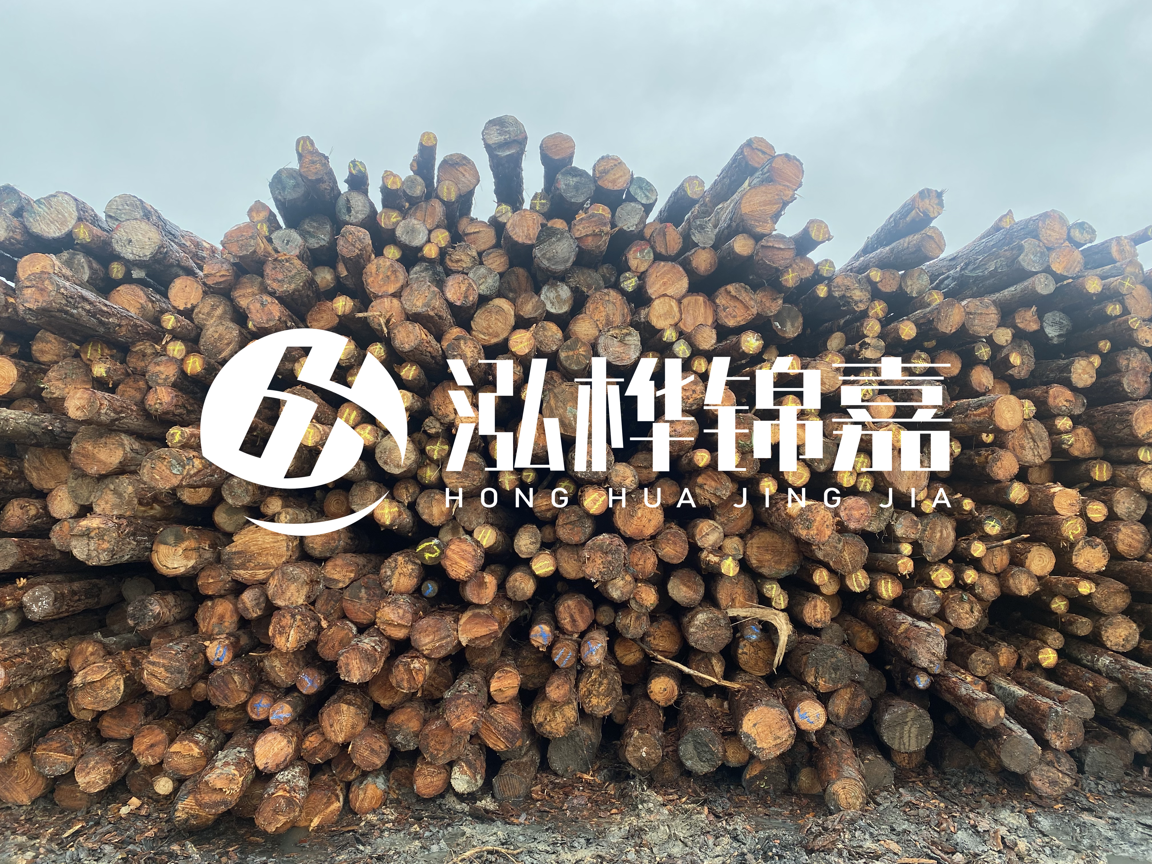 松木樁的直徑一般取多少？