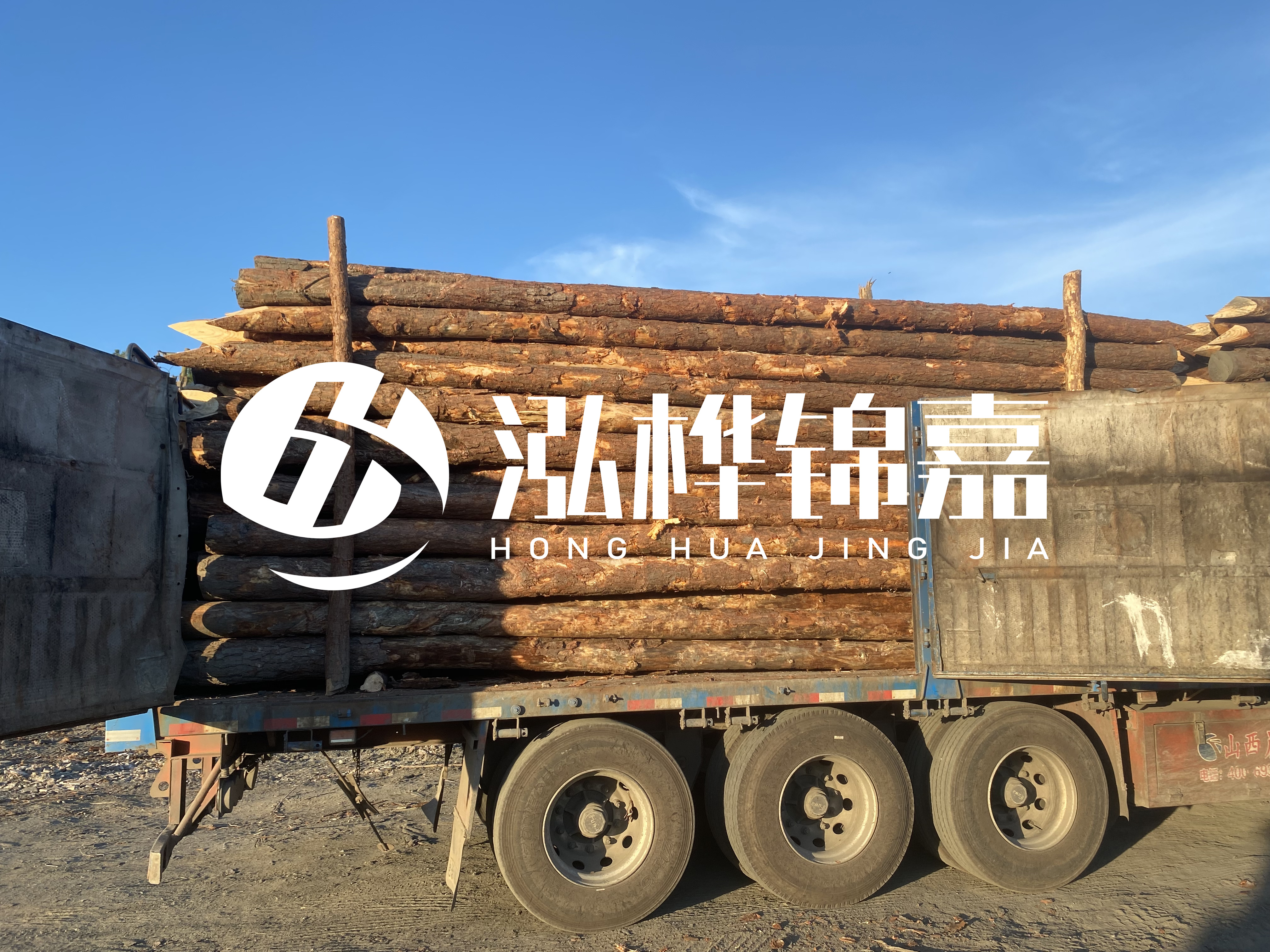 河道治理為什么要用松木樁？