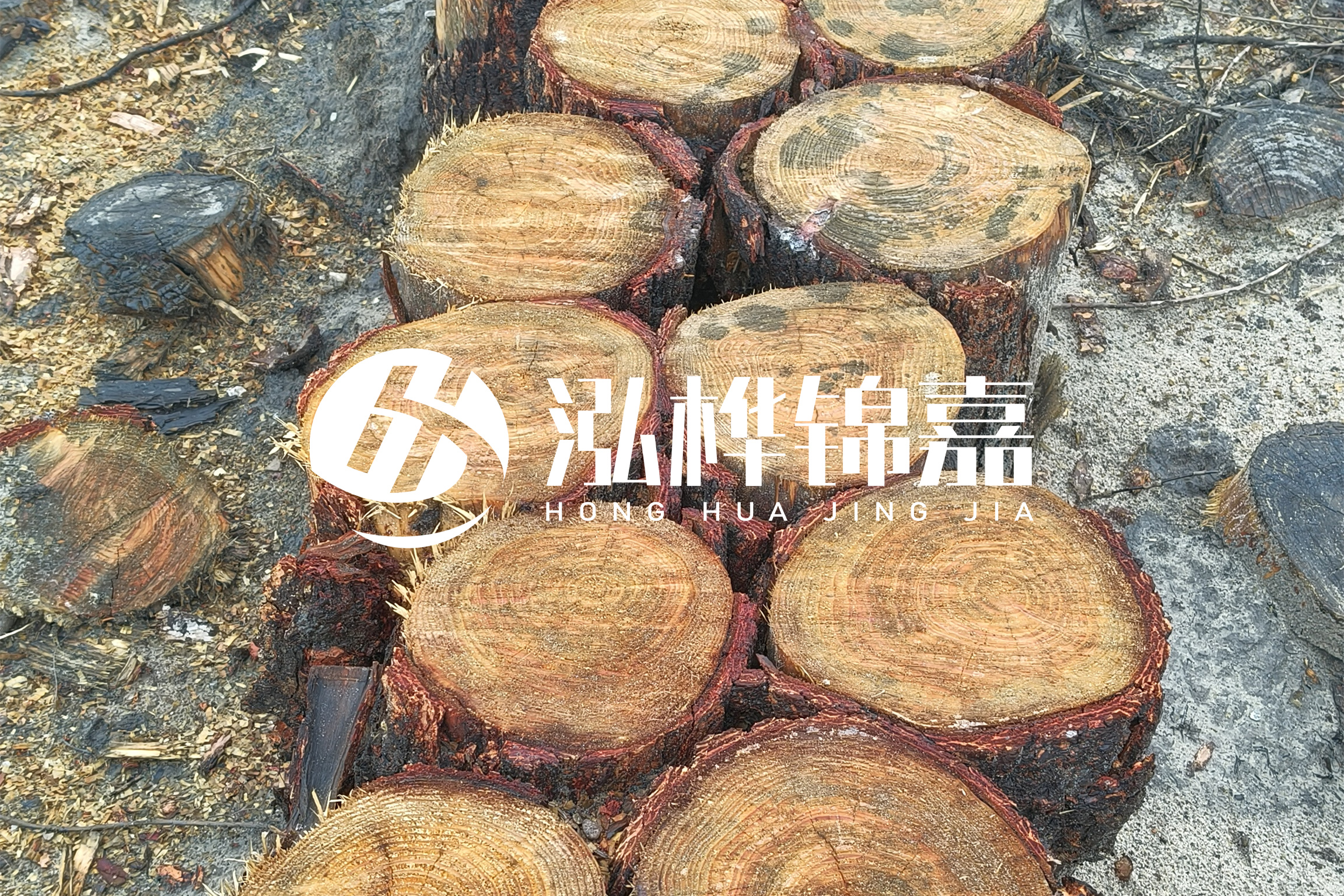 浙江臺(tái)州有清淤的公司嗎？浙江臺(tái)州有清淤施工隊(duì)嗎？