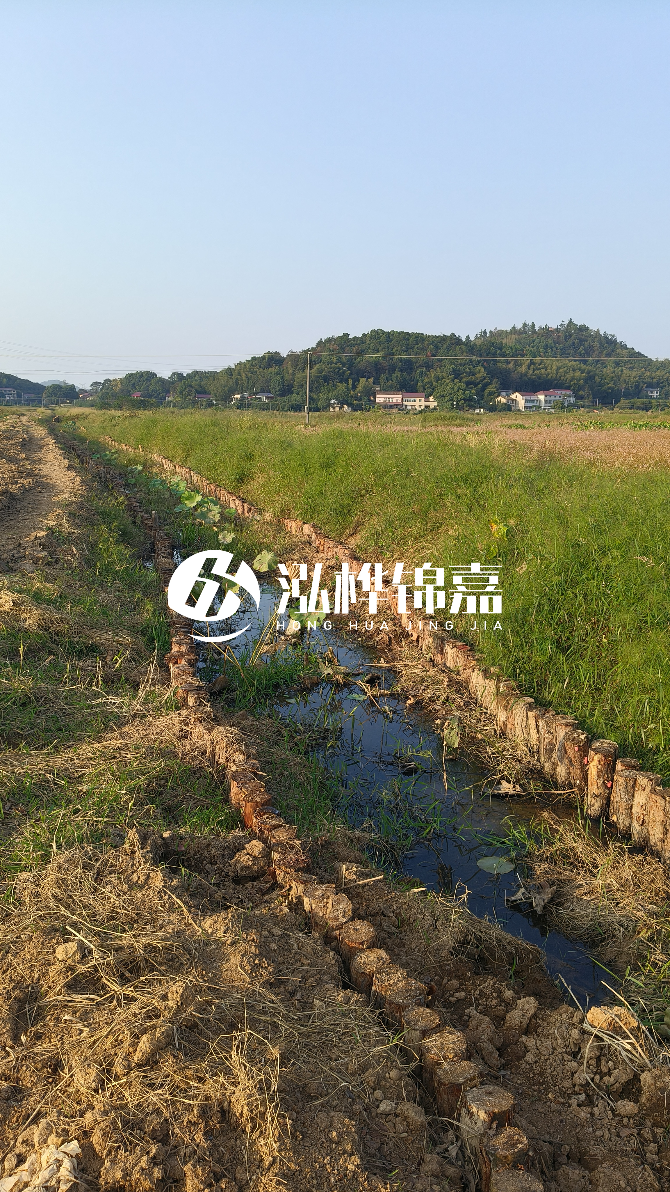 河道護(hù)坡打木樁的目的全解析：你知道幾個(gè)？