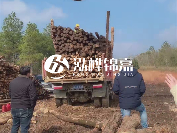 松木樁價(jià)格是按米算還是按根算？6米松木樁批發(fā)價(jià)每根多少錢？