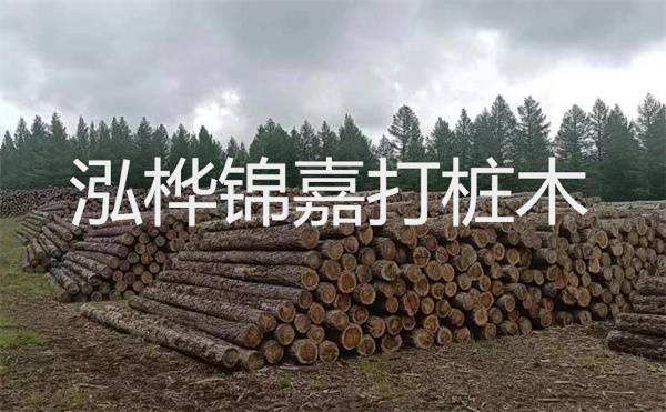 選擇紅磚護(hù)坡，打造獨(dú)特的美麗景觀