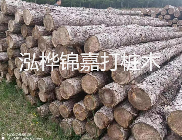 高效修補(bǔ)，保駕護(hù)航！水泥路面高強(qiáng)度修補(bǔ)料為您解決煩惱！