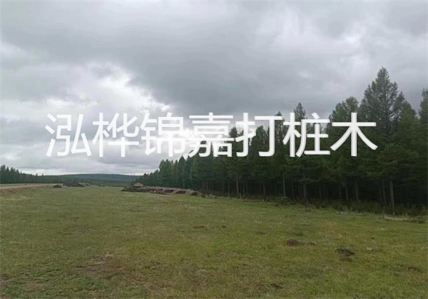 軟土地基加固措施，保障建筑穩(wěn)固