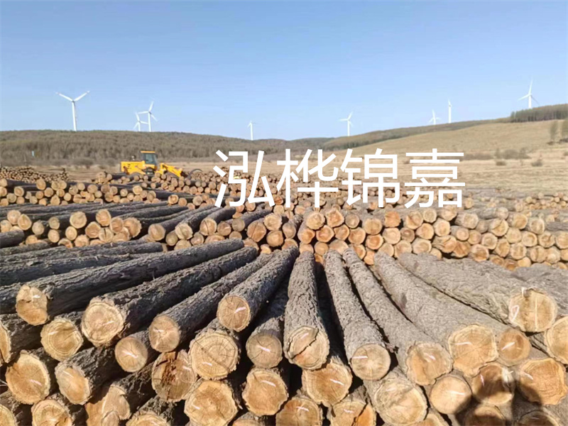 溫州松木樁施工廠家——為您打造堅(jiān)固穩(wěn)定的建筑基礎(chǔ)！